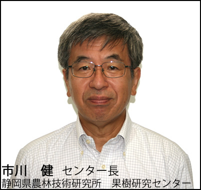 s쌒