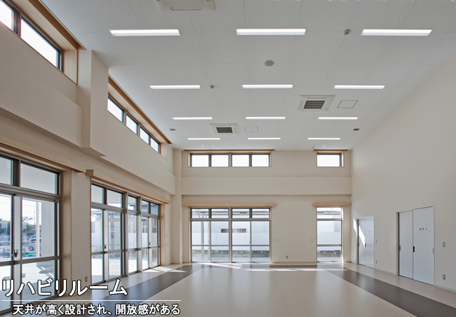 nr[BV䂪݌vAJ