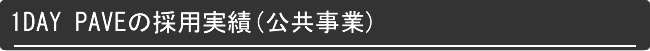 1DAY PAVE̗̍p()