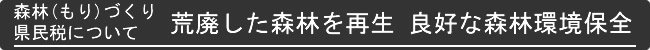XсijÂ茧łɂ